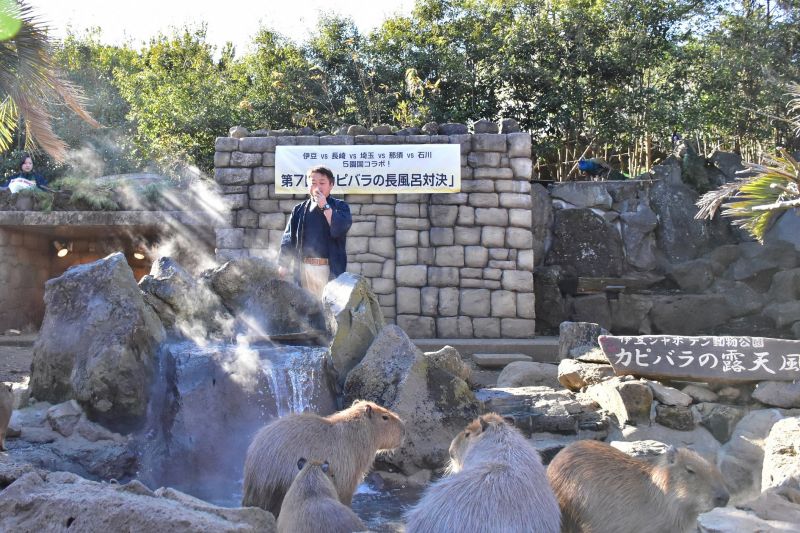 capybara onsen capybara onsen